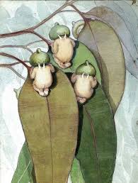 Gumnuts  - a rear view.